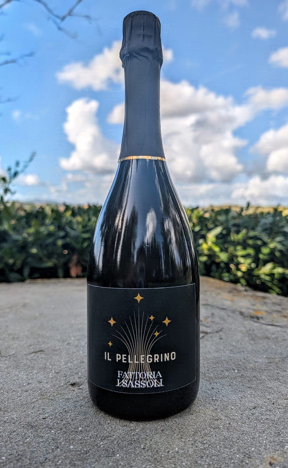 Bottiglia «Il Pellegrino» della Fattoria I Sassoli su un muretto di pietra