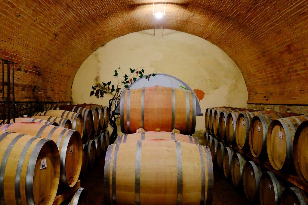 Barriques under the brick vaults of a cellar
