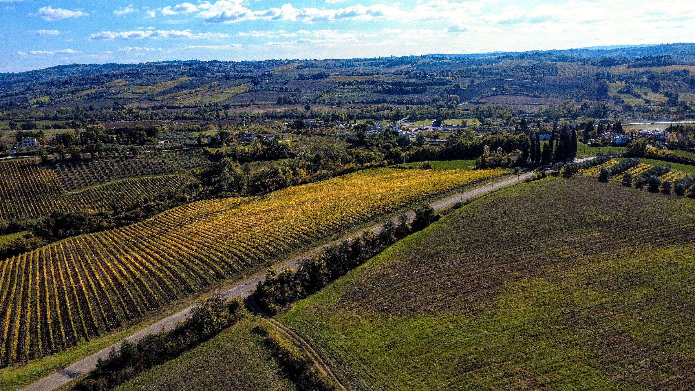 Le vigne della fattoria viste dal drone in autunno, con le colline intorno