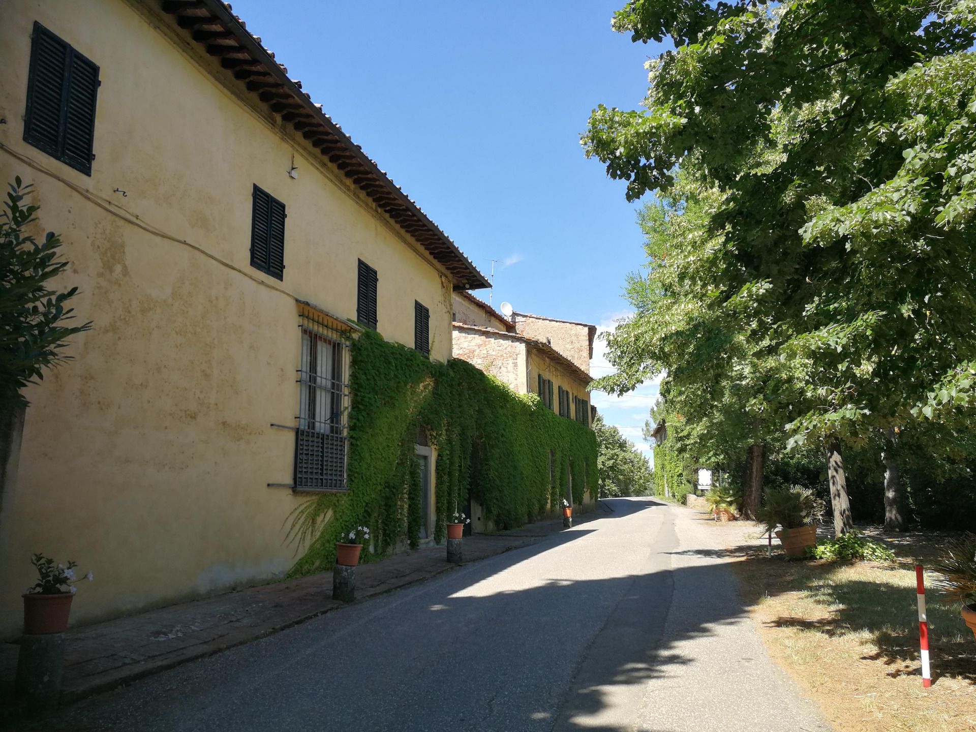 La villa della fattoria lungo il viale alberato
