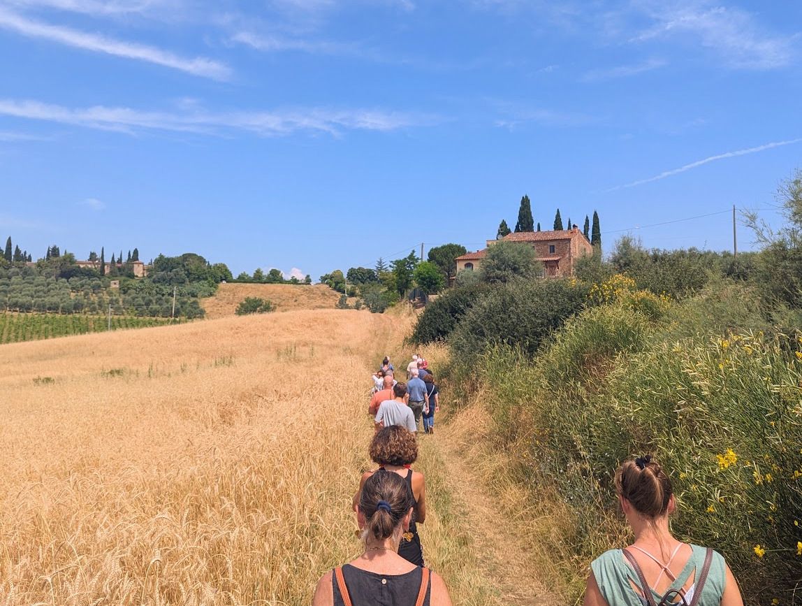 Guests walking along the estate's wheat fields